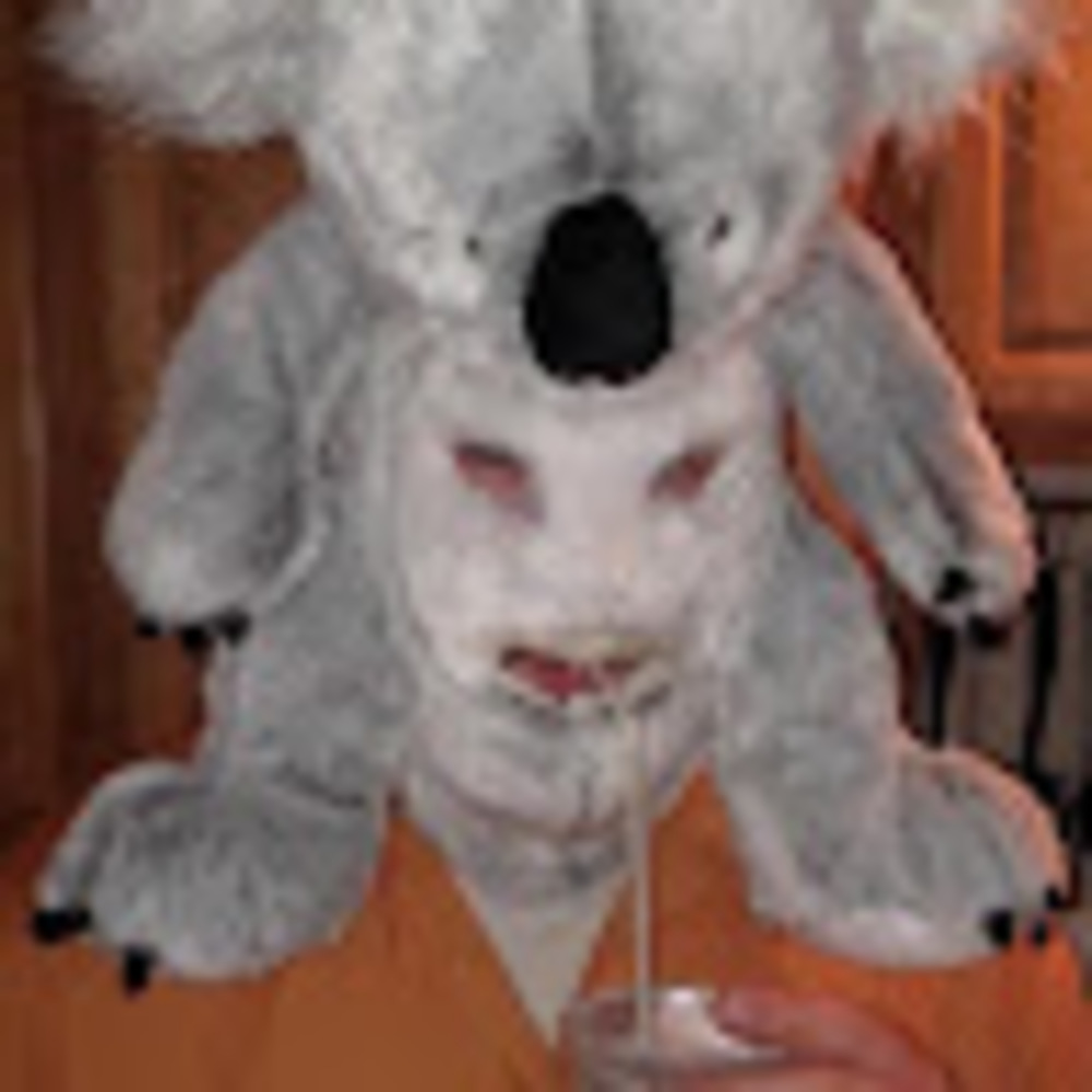 Meet your Posher, Me